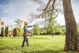 Leaf Removal in Archbold, OH